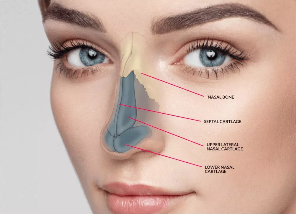 Rhinoplastik: Ergebnis und Nasenprofil